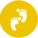 合作企業